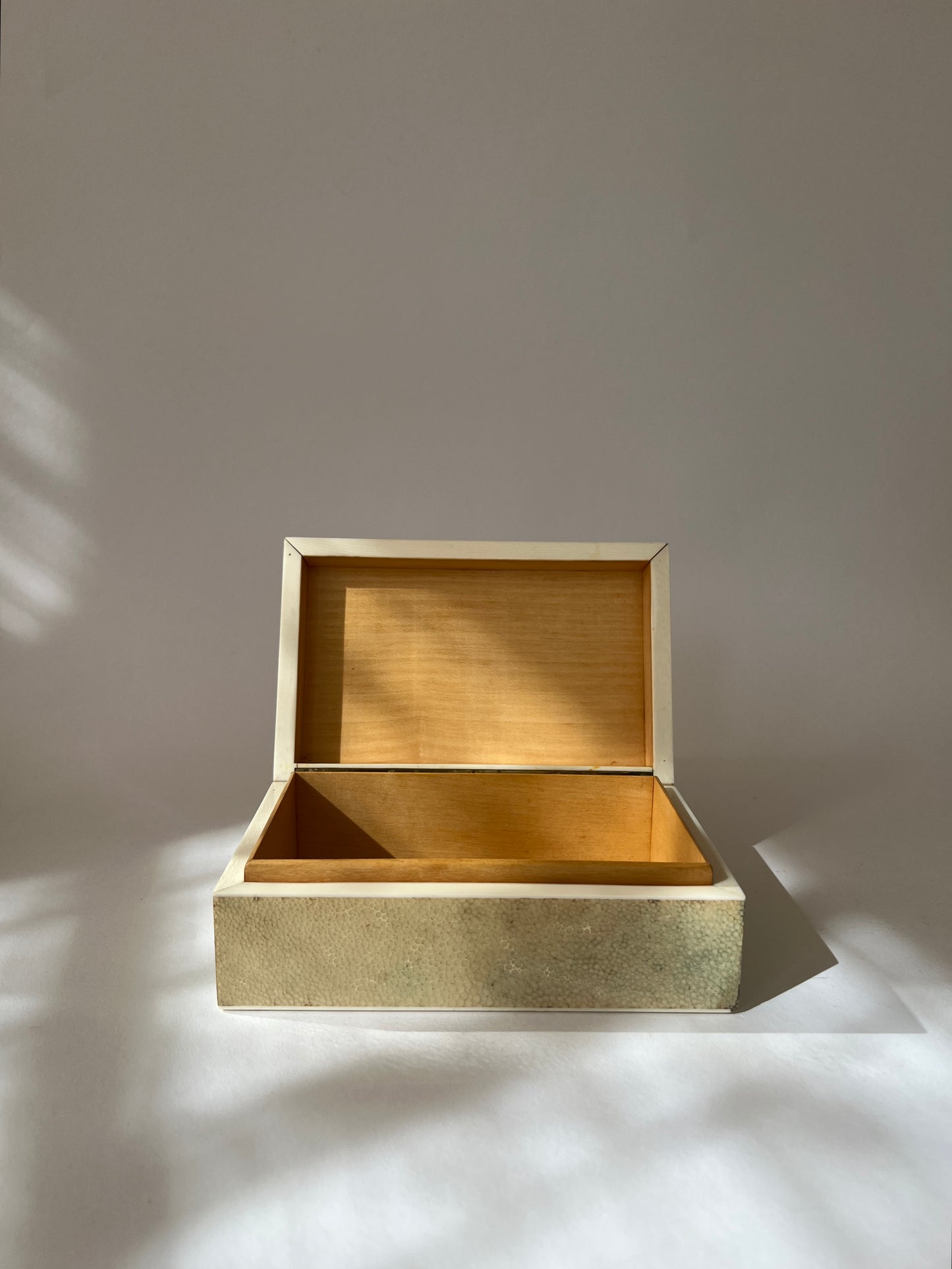 Shagreen Box
