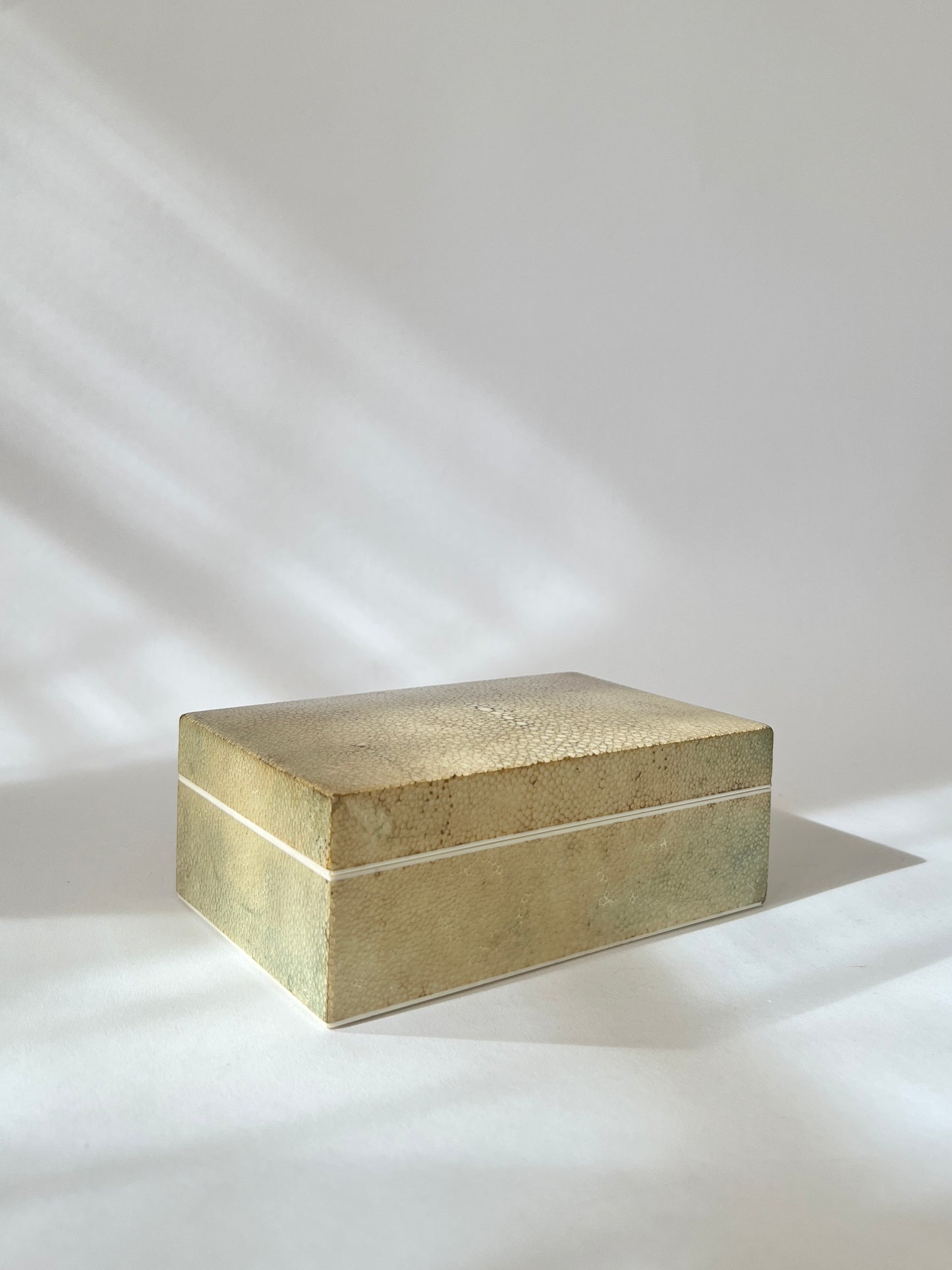 Shagreen Box