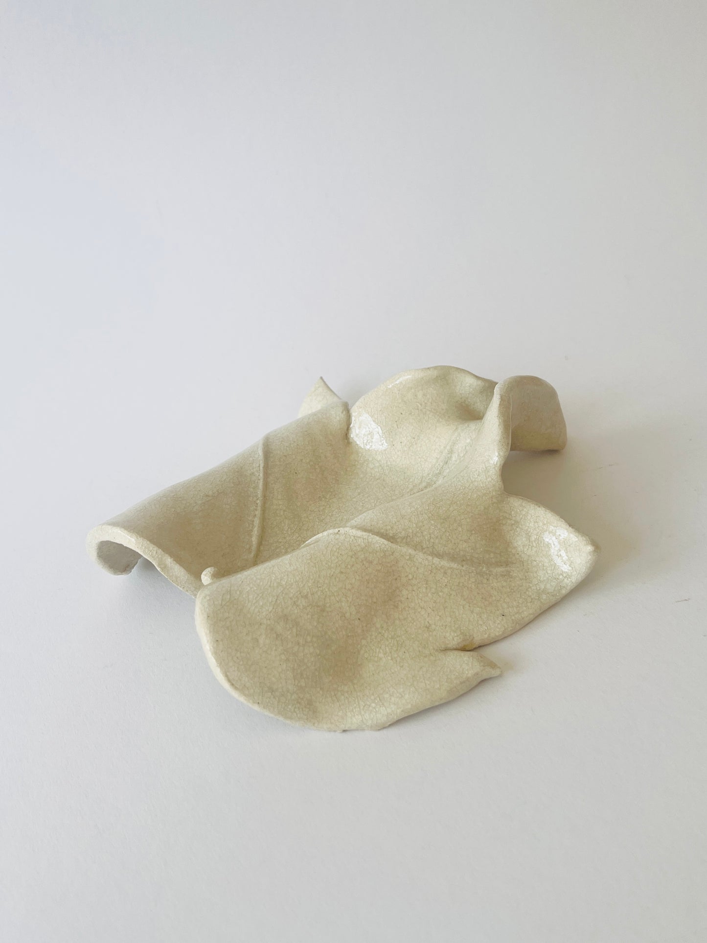 La Vid vide-poche by Carolina Echeverri