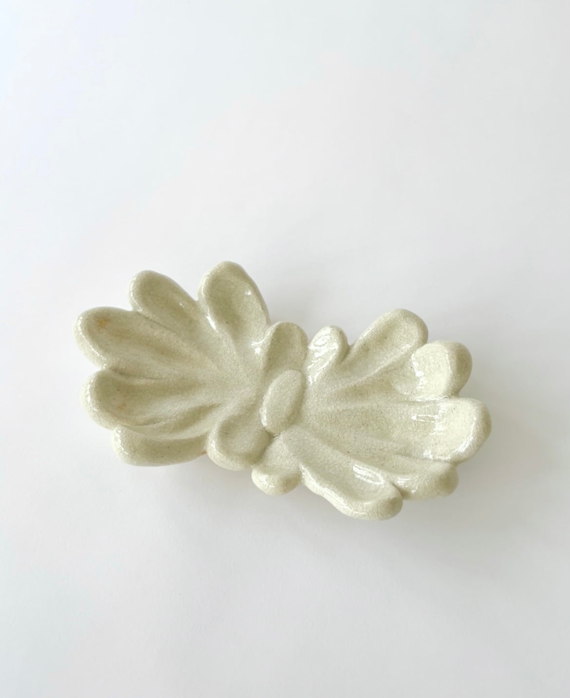 Conchitas Gemelas by Carolina Echeverri