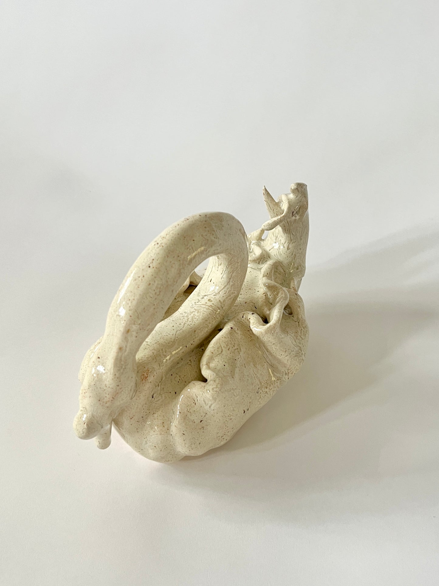 El Cisne II by Carolina Echeverri