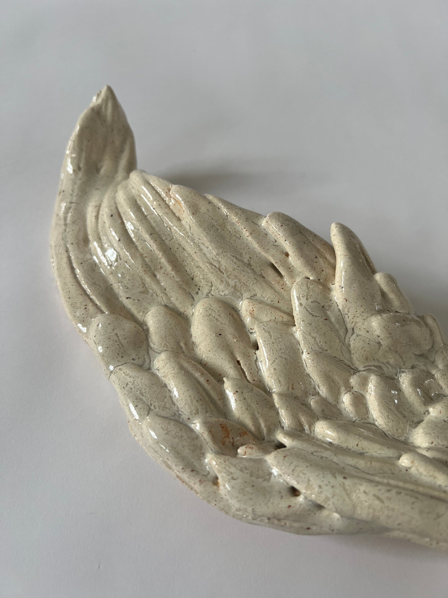 Amor's Wing by Carolina Echeverri