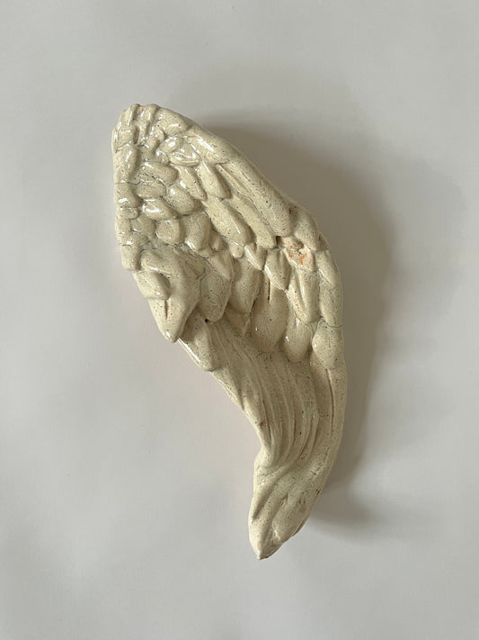 Amor's Wing by Carolina Echeverri