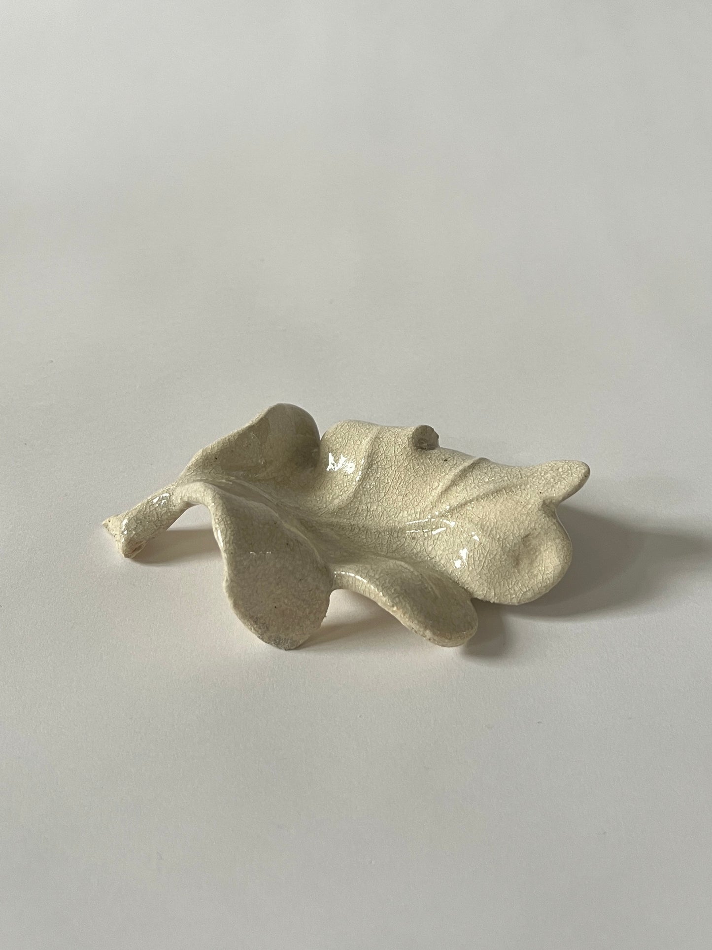 El Roble II by Carolina Echeverri