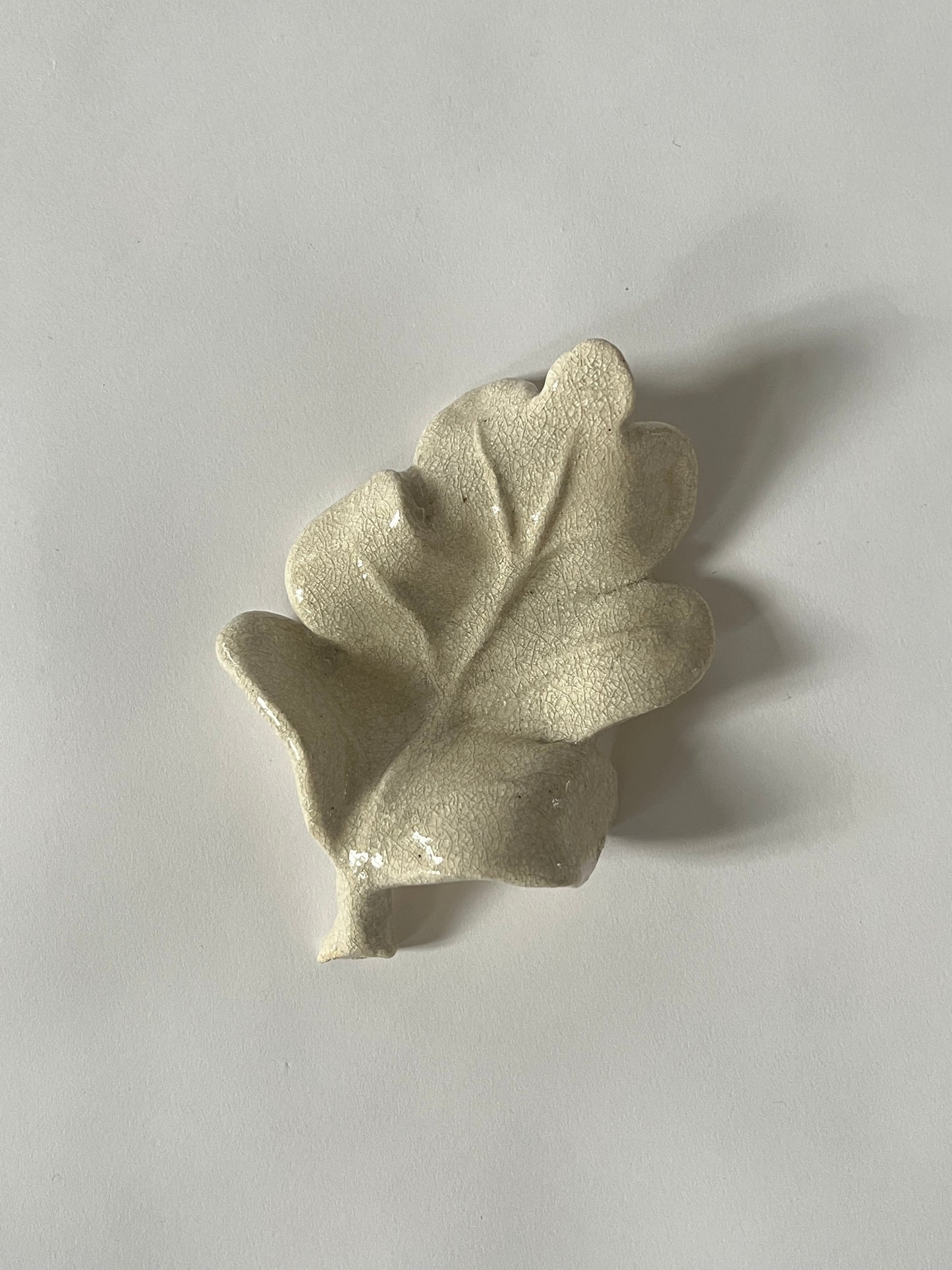 El Roble II by Carolina Echeverri