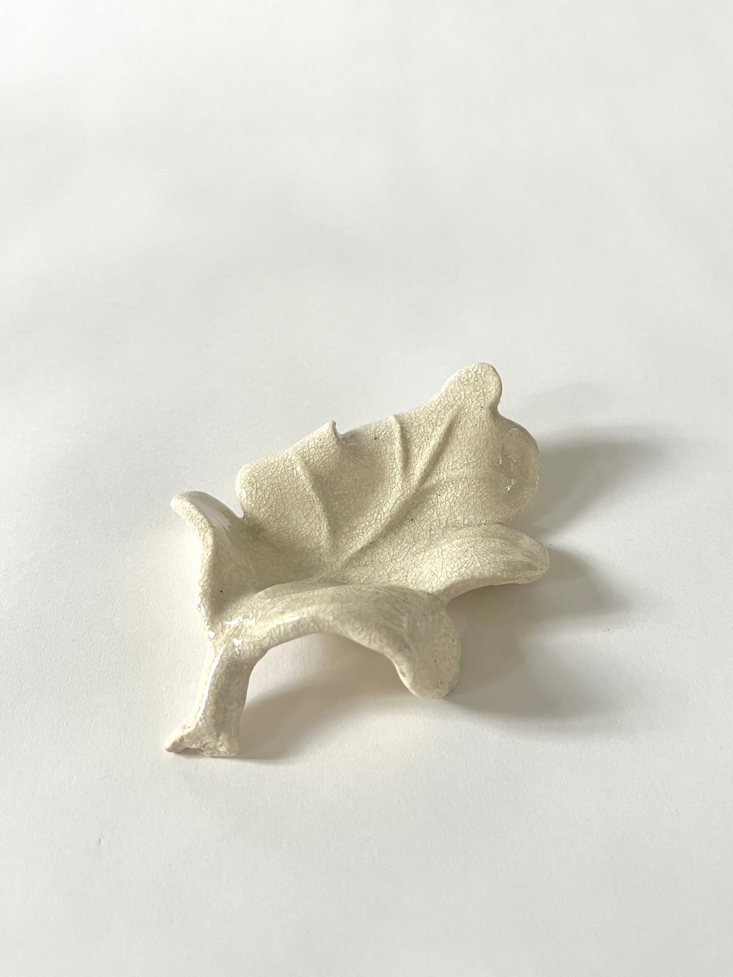 El Roble II by Carolina Echeverri