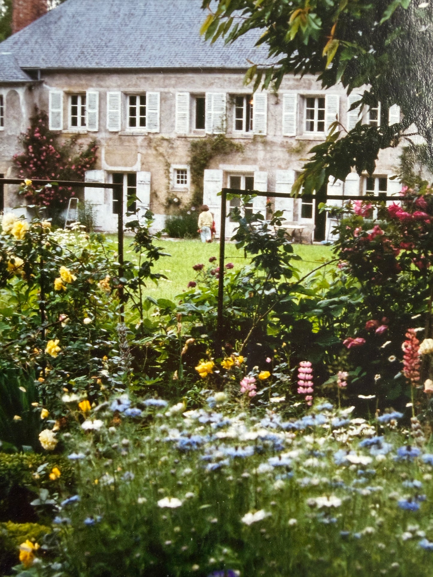 Roland Beaufre