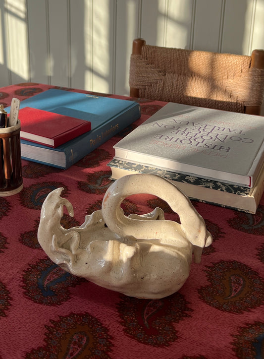 El Cisne II by Carolina Echeverri