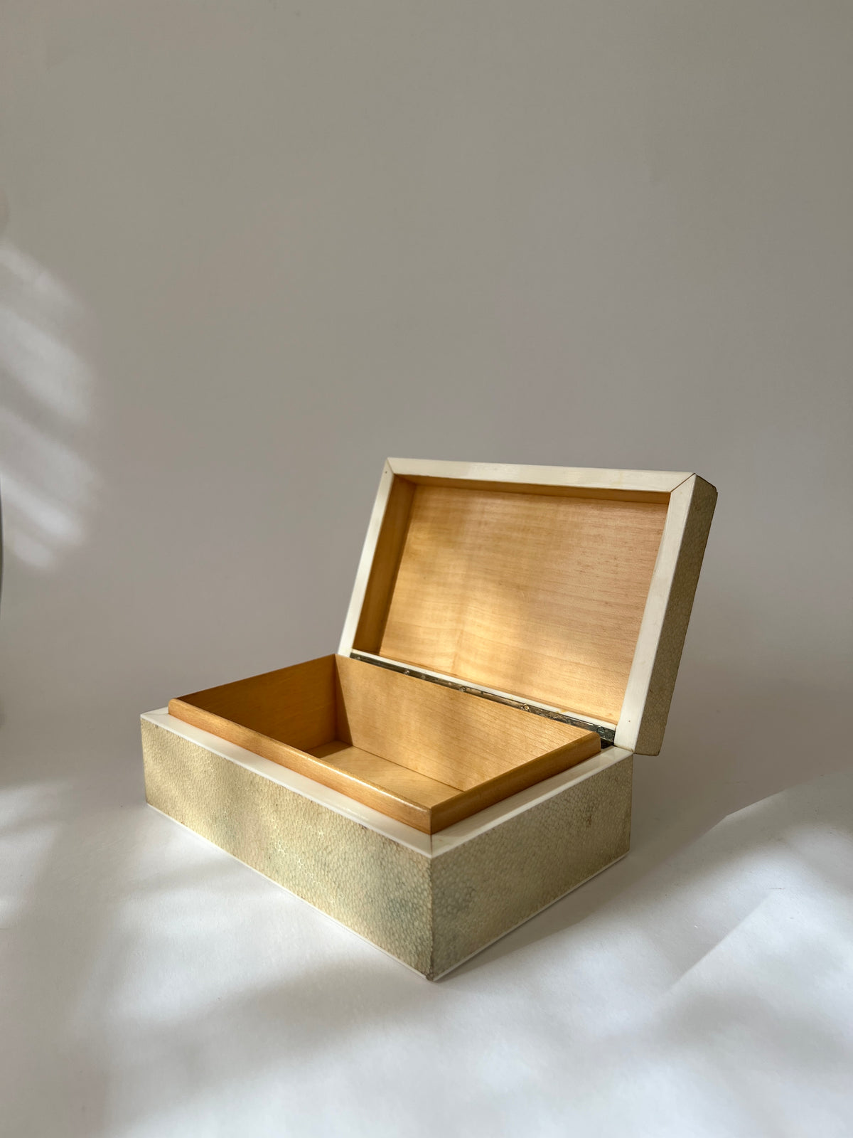 Shagreen Box – hellethygesen.com