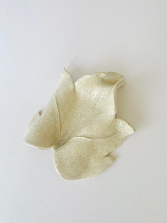 La Vid vide-poche by Carolina Echeverri
