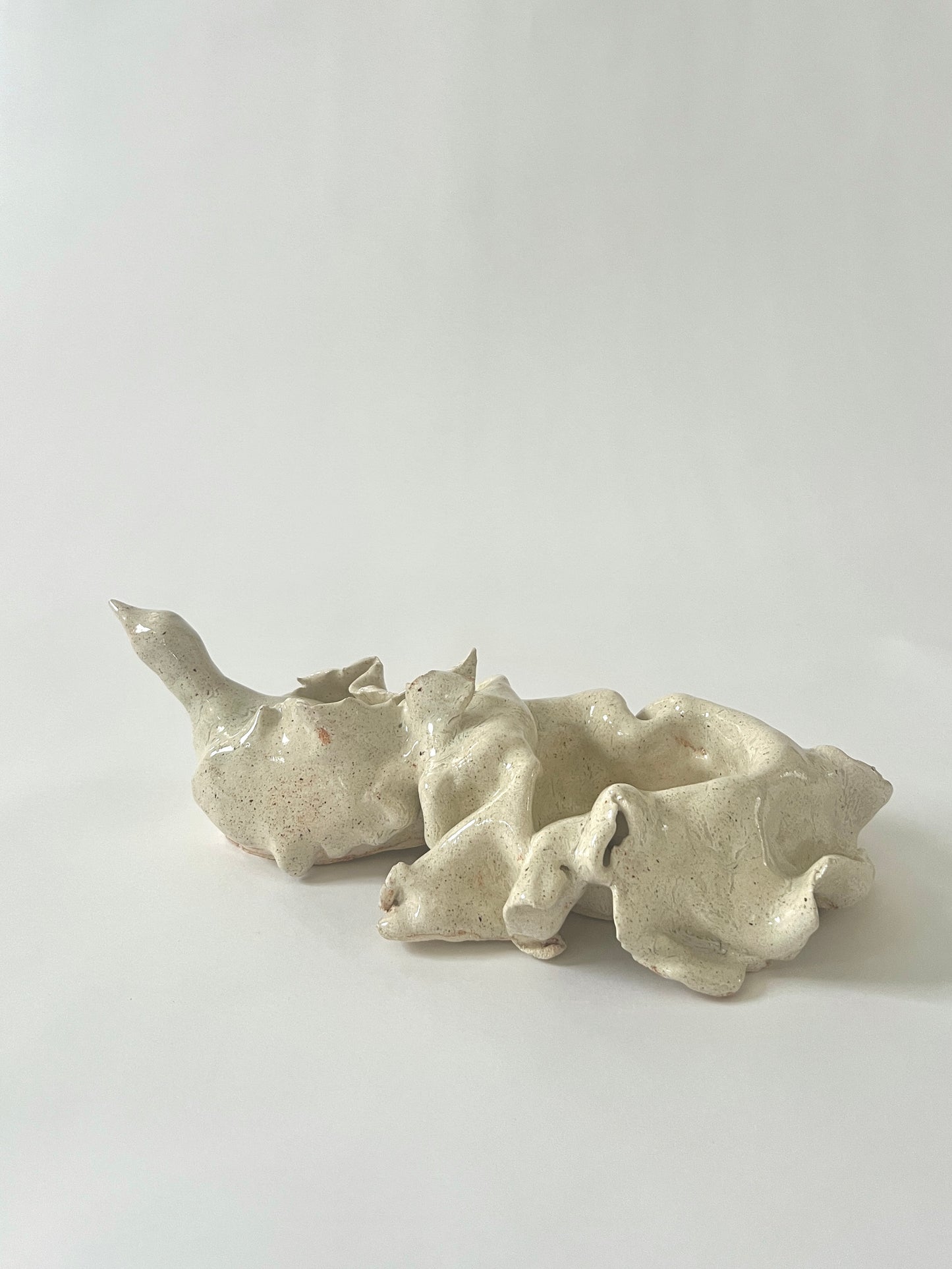 Paloma Bendita sculpture / bowl by Carolina Echeverri