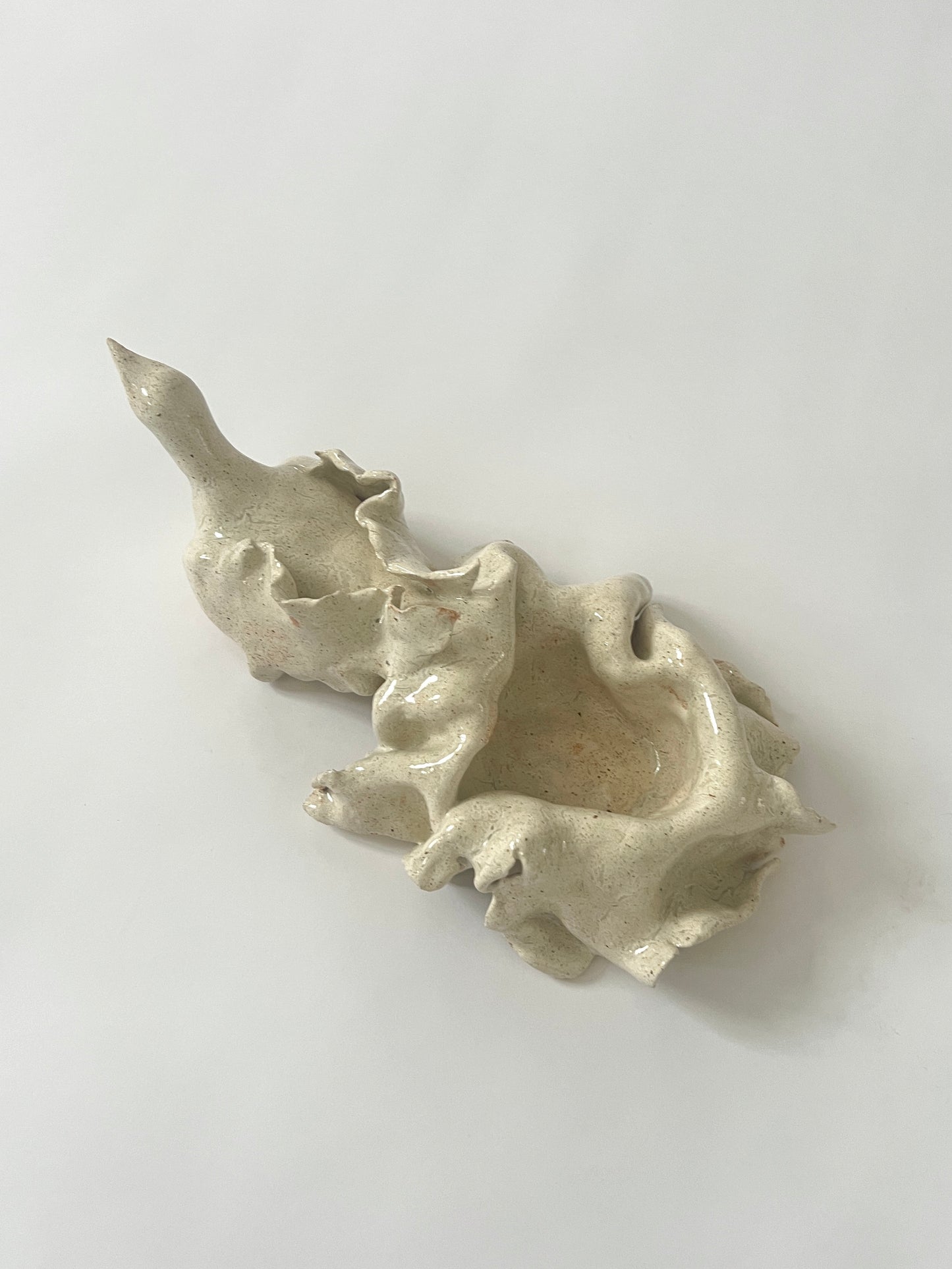 Paloma Bendita sculpture / bowl by Carolina Echeverri