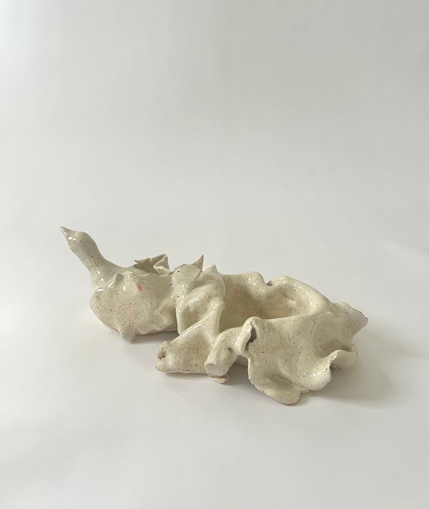 Paloma Bendita sculpture / bowl by Carolina Echeverri