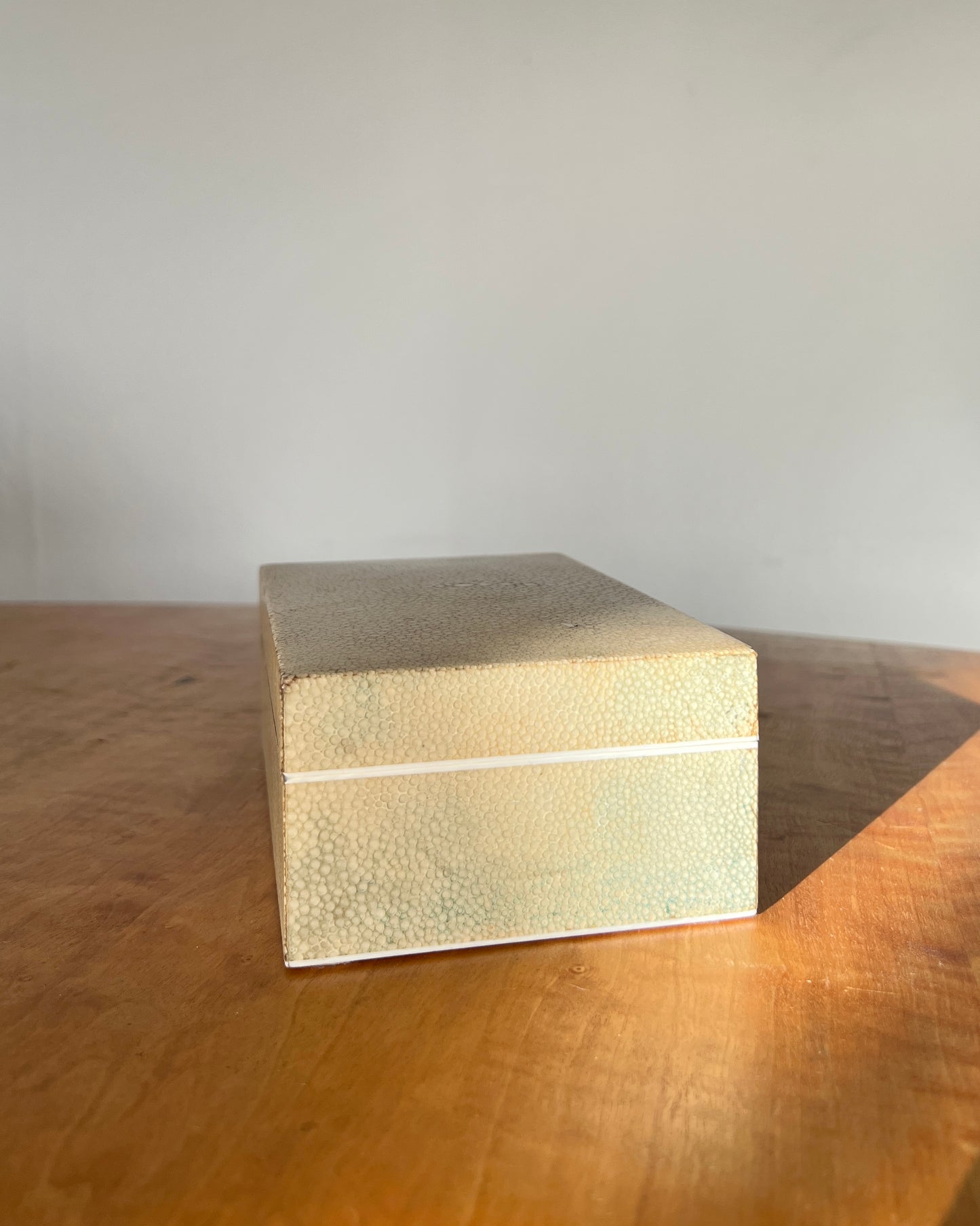 Shagreen Box