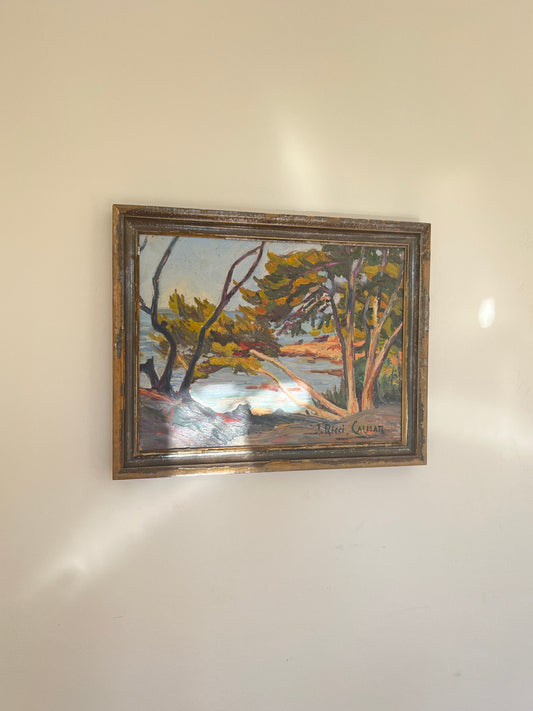 Coastal scene