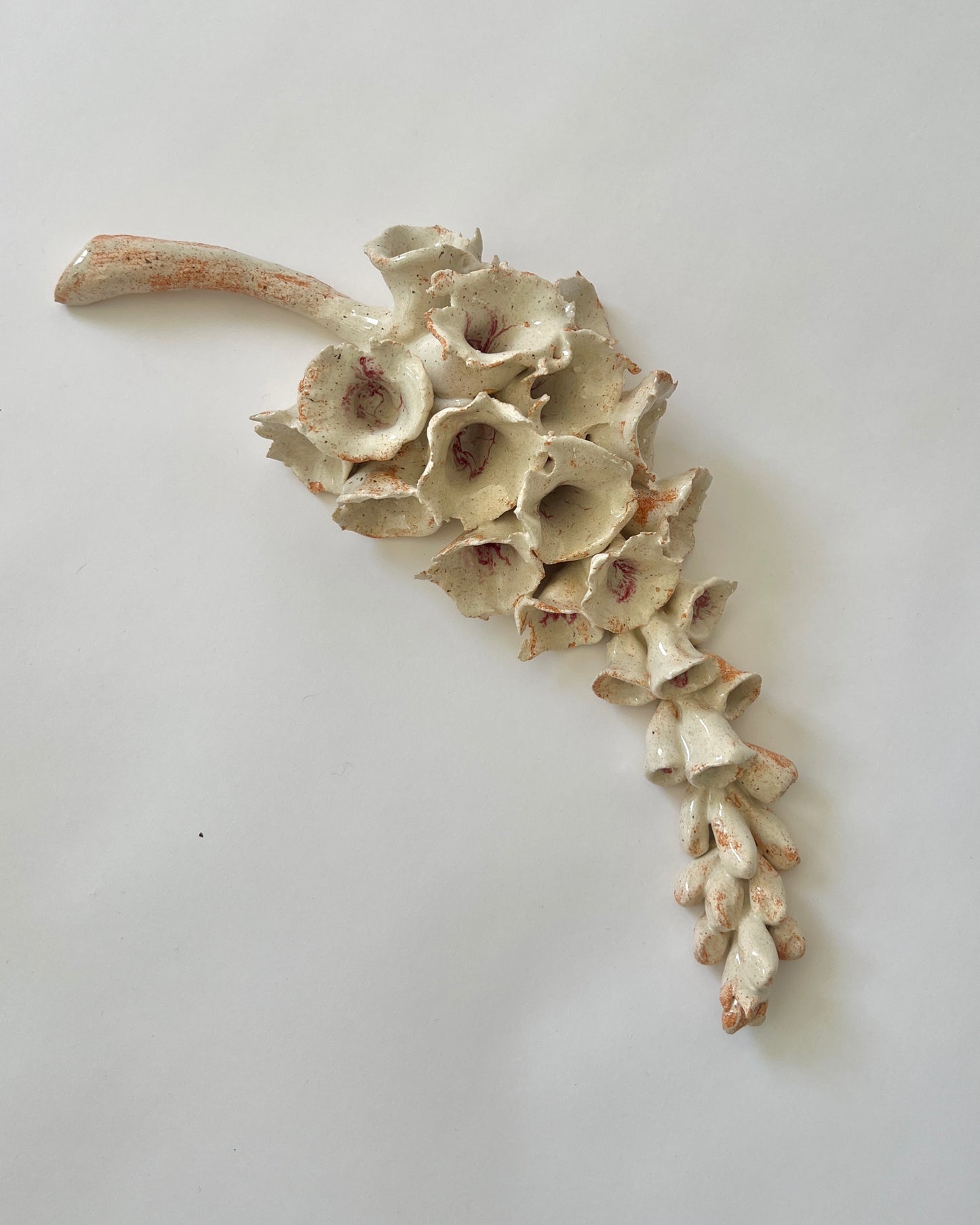 Flor de Abril