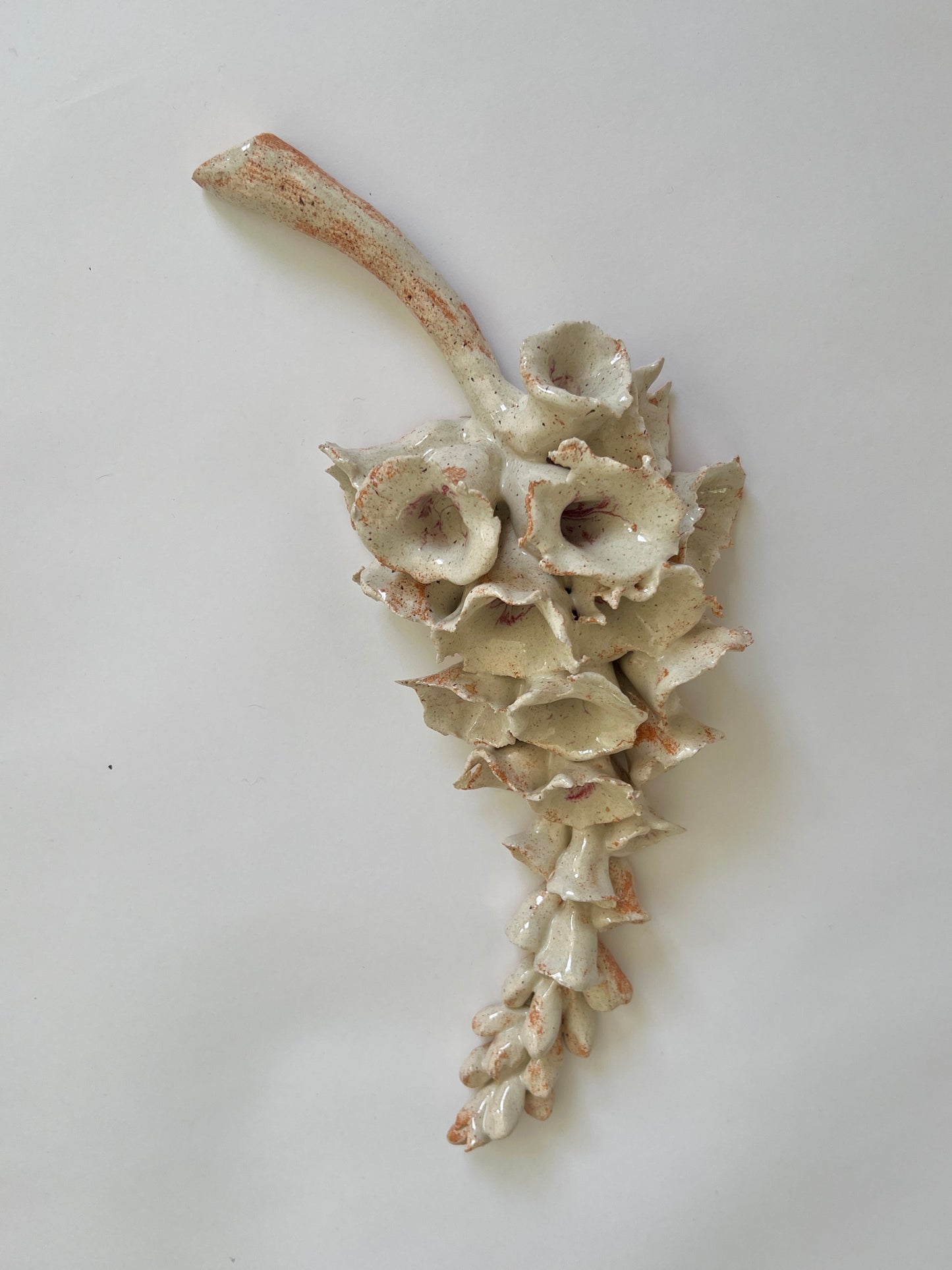 Flor de Abril