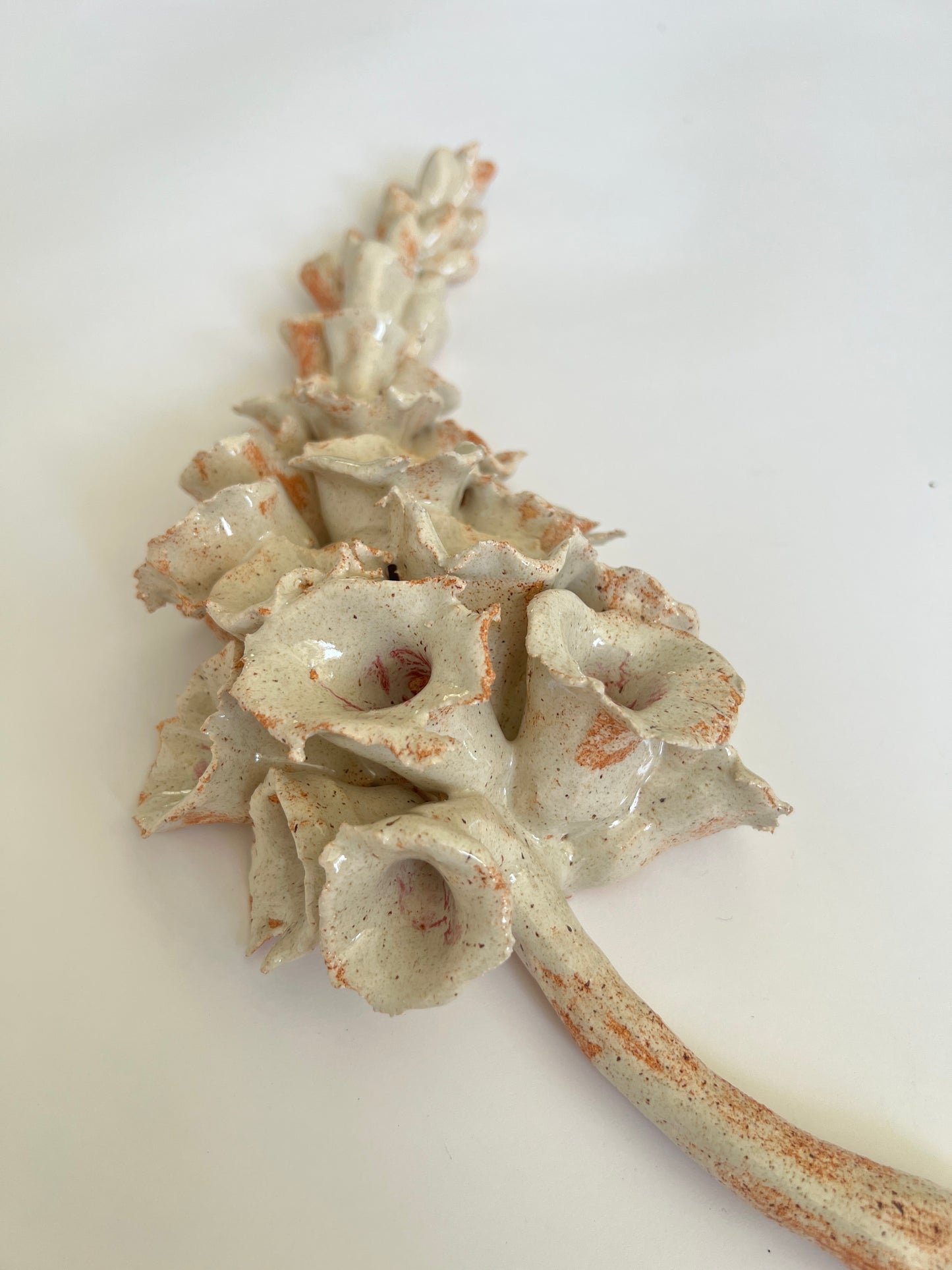 Flor de Abril