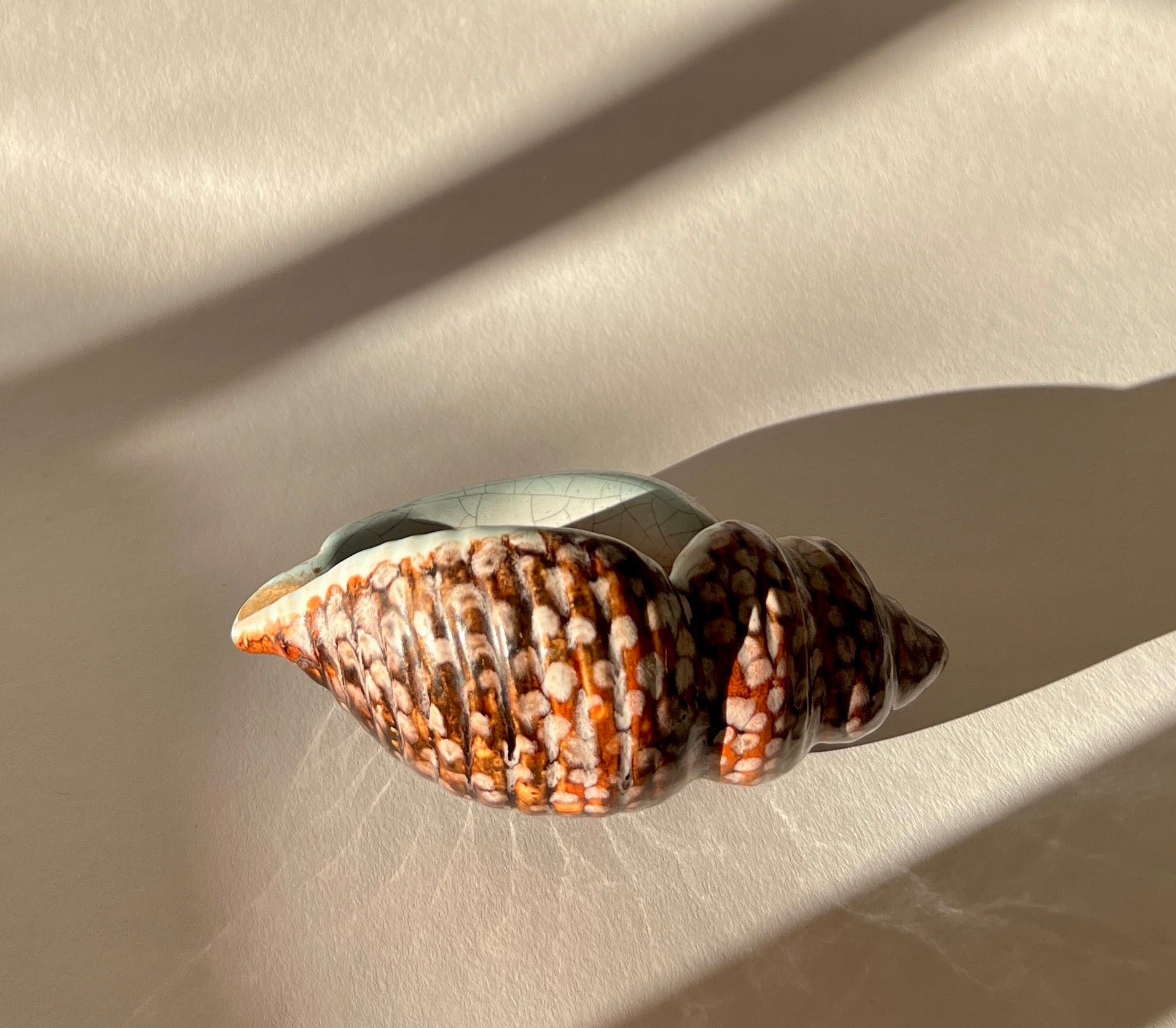 Ceramic Shell Replicast Earthenware Shell Sculpture – hellethygesen.com