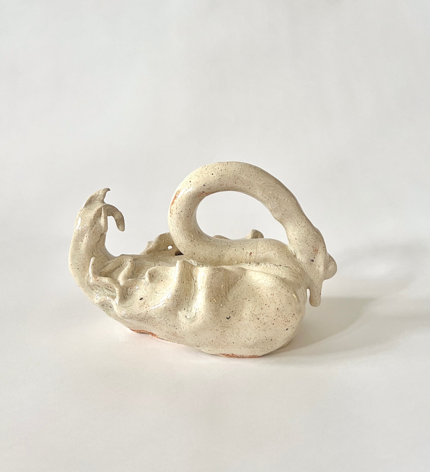 El Cisne II by Carolina Echeverri