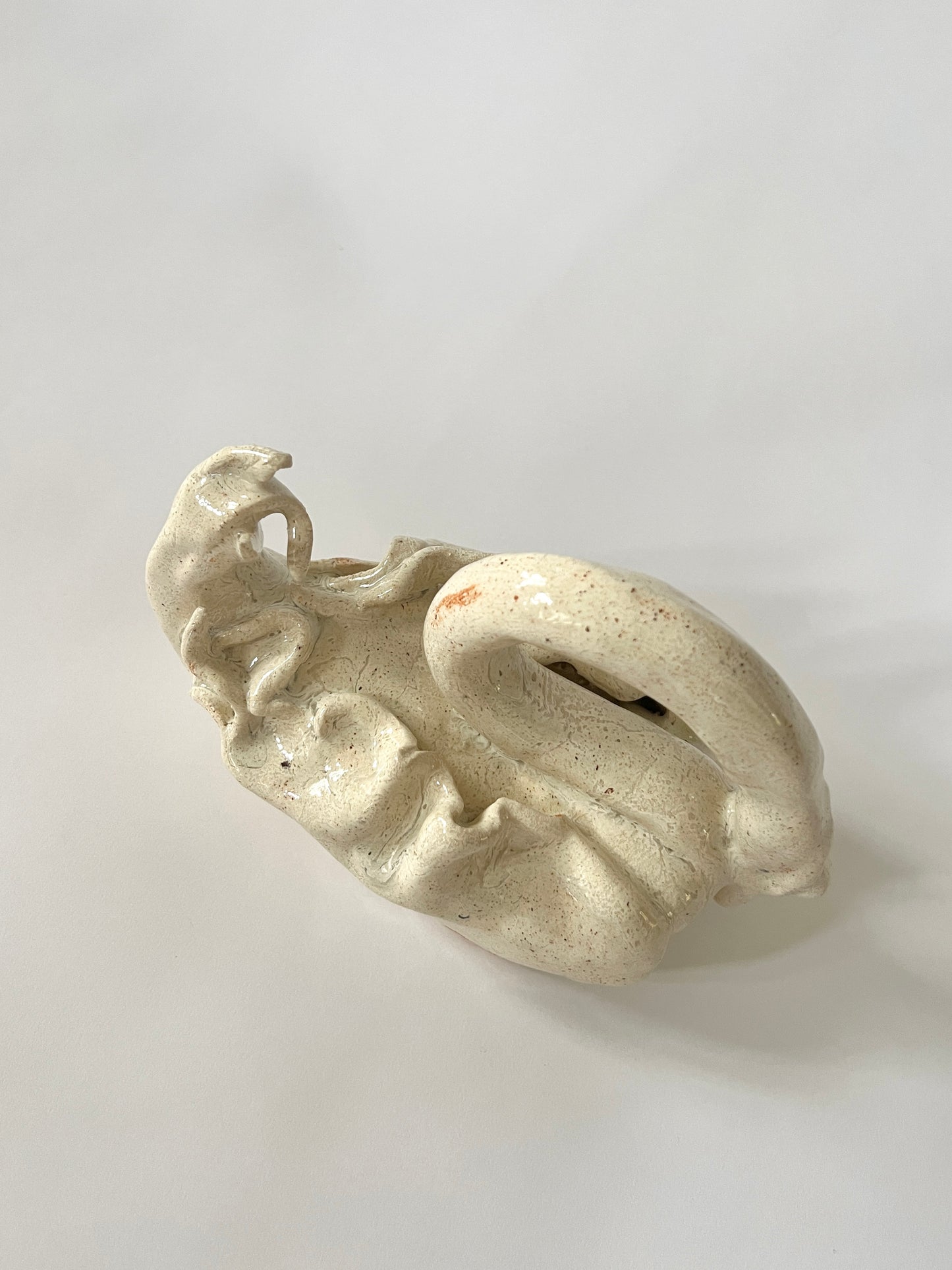 El Cisne II by Carolina Echeverri