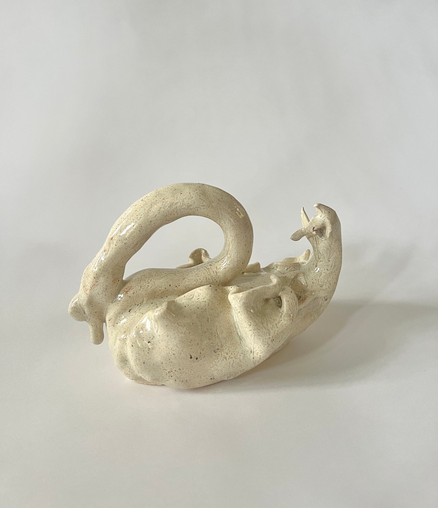 El Cisne II by Carolina Echeverri