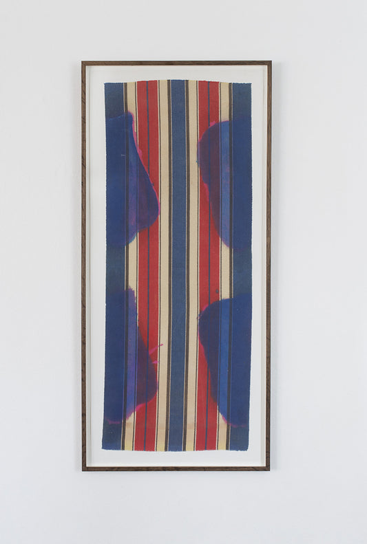 Claude Viallat 2008